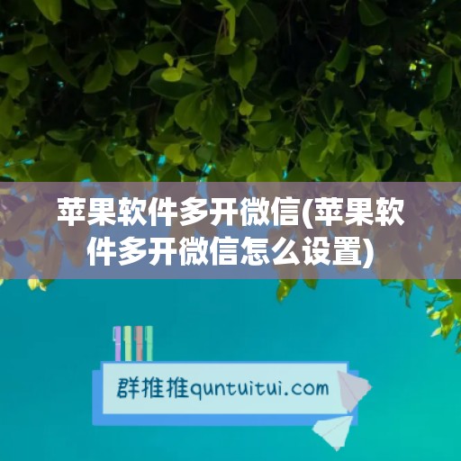 苹果软件多开微信(苹果软件多开微信怎么设置)