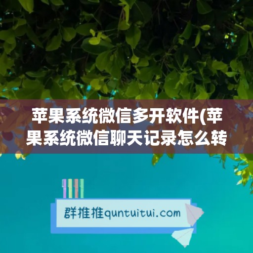 苹果系统微信多开软件(苹果系统微信聊天记录怎么转移到新手机)