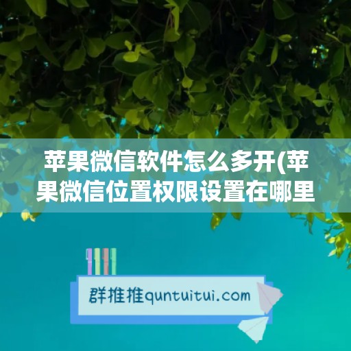 苹果微信软件怎么多开(苹果微信位置权限设置在哪里打开)