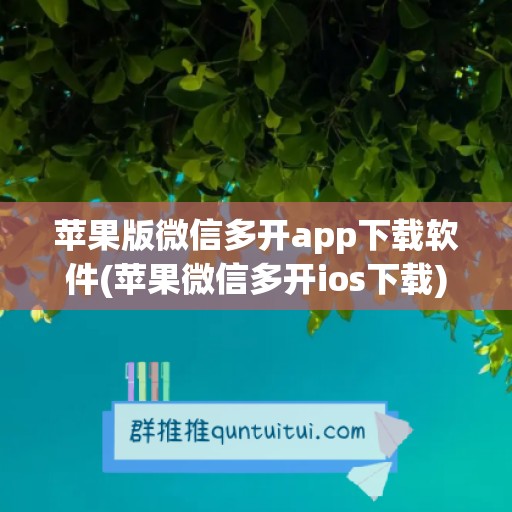 苹果版微信多开app下载软件(苹果微信多开ios下载)