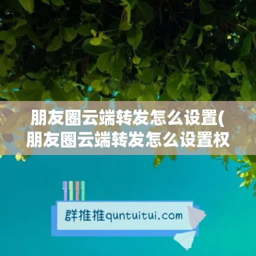 朋友圈云端转发怎么设置(朋友圈云端转发怎么设置权限)