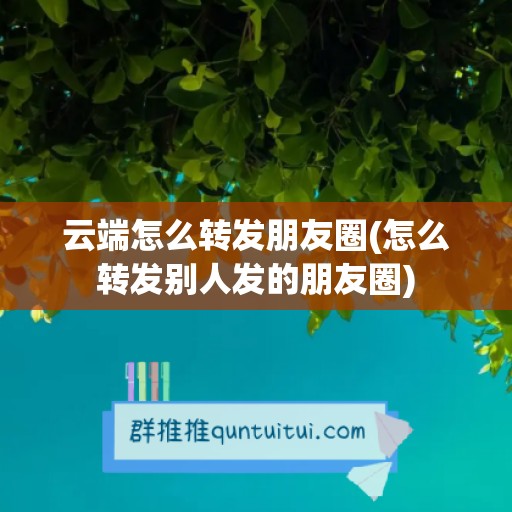 云端怎么转发朋友圈(怎么转发别人发的朋友圈)