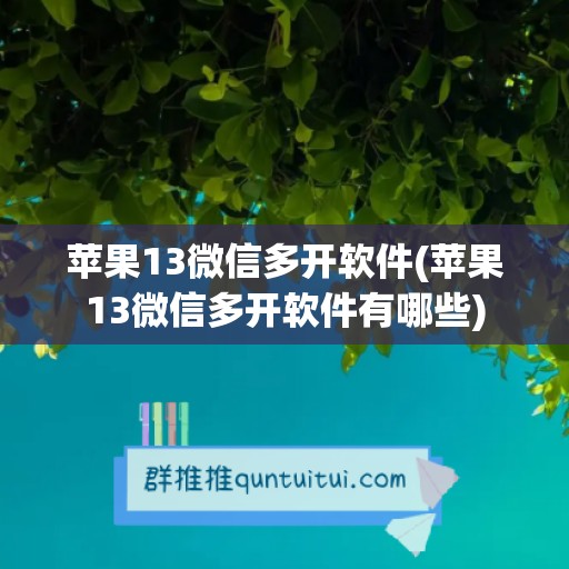 苹果13微信多开软件(苹果13微信多开软件有哪些)