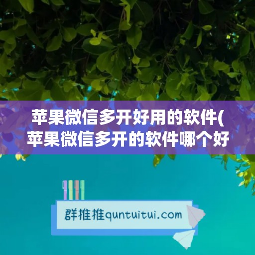 苹果微信多开好用的软件(苹果微信多开的软件哪个好)