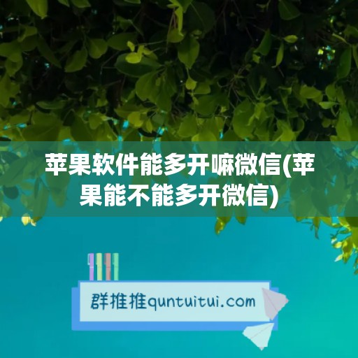 苹果软件能多开嘛微信(苹果能不能多开微信)