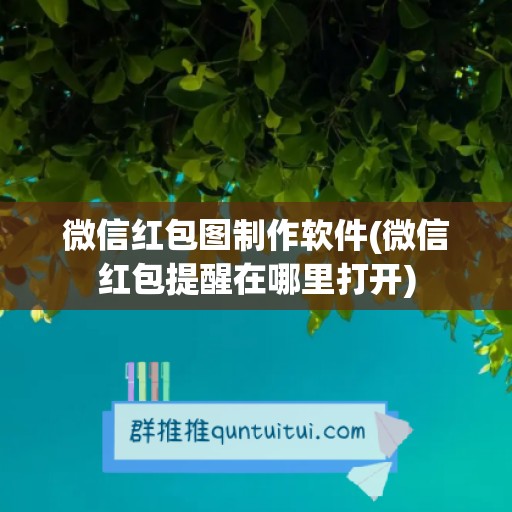 微信红包图制作软件(微信红包提醒在哪里打开)