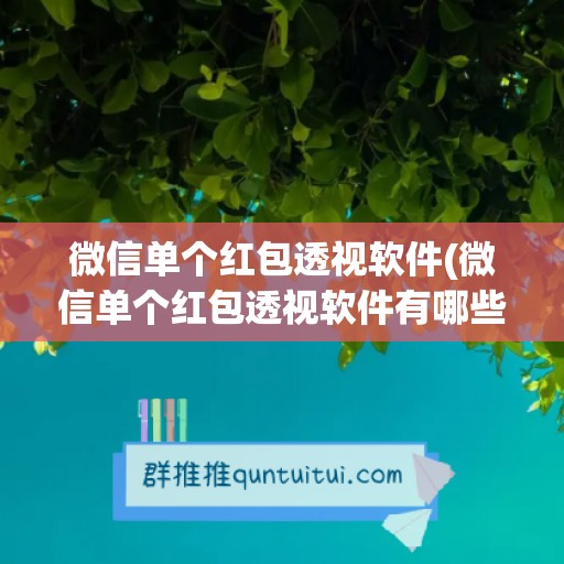 微信单个红包透视软件(微信单个红包透视软件有哪些)