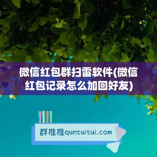 微信红包群扫雷软件(微信红包记录怎么加回好友)