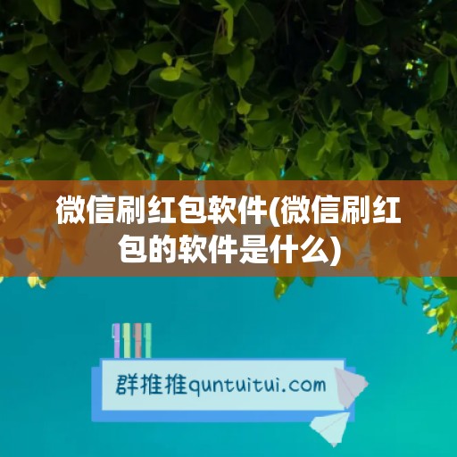 微信刷红包软件(微信刷红包的软件是什么)