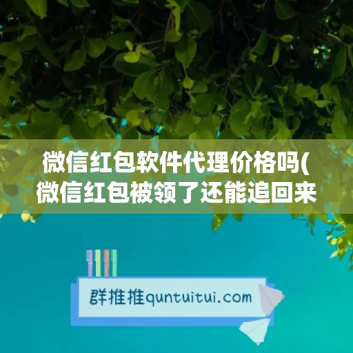 微信红包软件代理价格吗(微信红包被领了还能追回来吗)