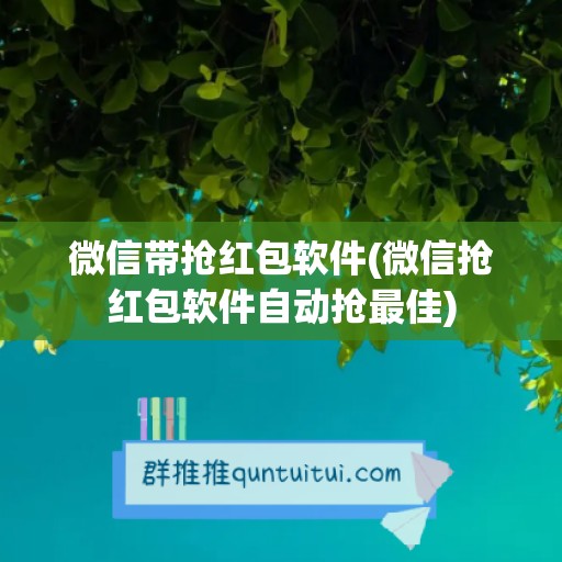 微信带抢红包软件(微信抢红包软件自动抢最佳)