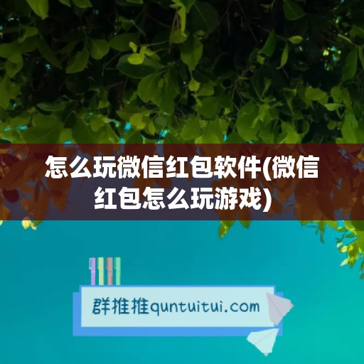 怎么玩微信红包软件(微信红包怎么玩游戏)