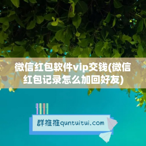 微信红包软件vip交钱(微信红包记录怎么加回好友)