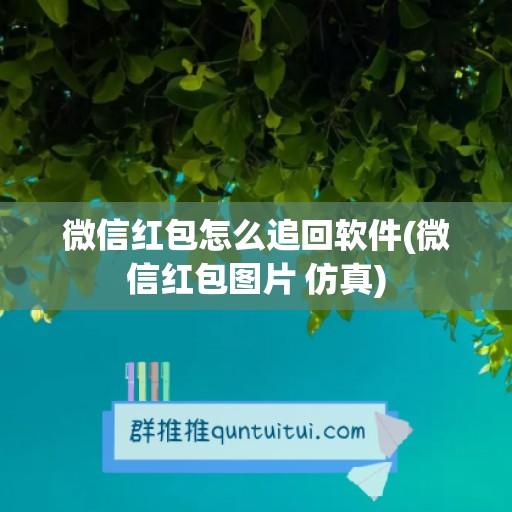 微信红包怎么追回软件(微信红包图片 仿真)