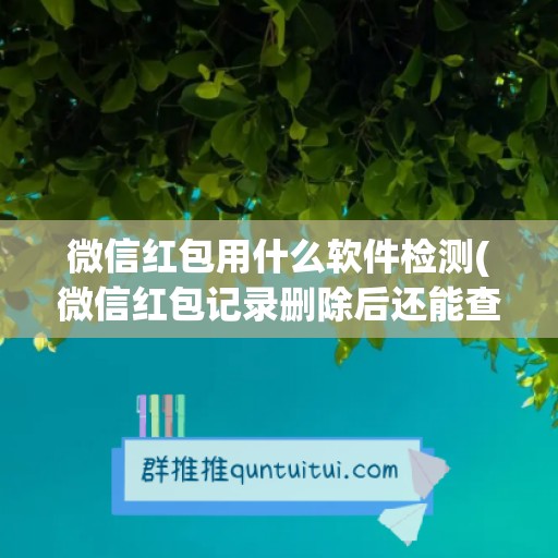 微信红包用什么软件检测(微信红包记录删除后还能查到吗)