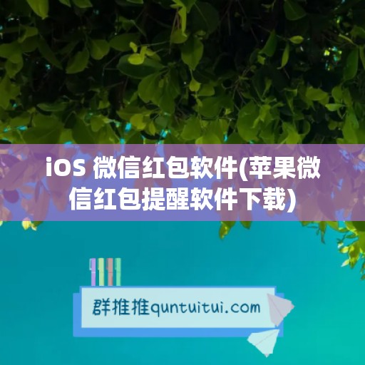 iOS 微信红包软件(苹果微信红包提醒软件下载)