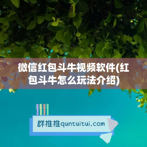 微信红包斗牛视频软件(红包斗牛怎么玩法介绍)