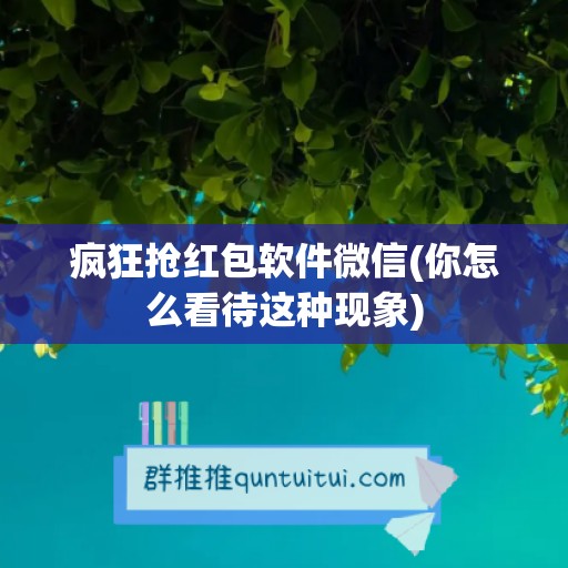 疯狂抢红包软件微信(你怎么看待这种现象)