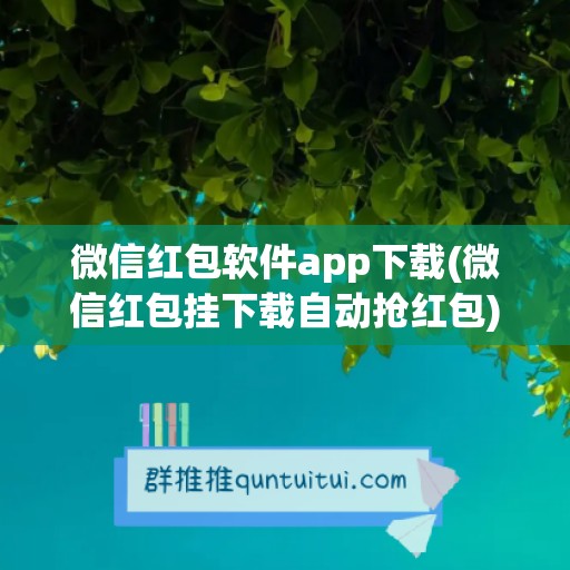 微信红包软件app下载(微信红包挂下载自动抢红包)