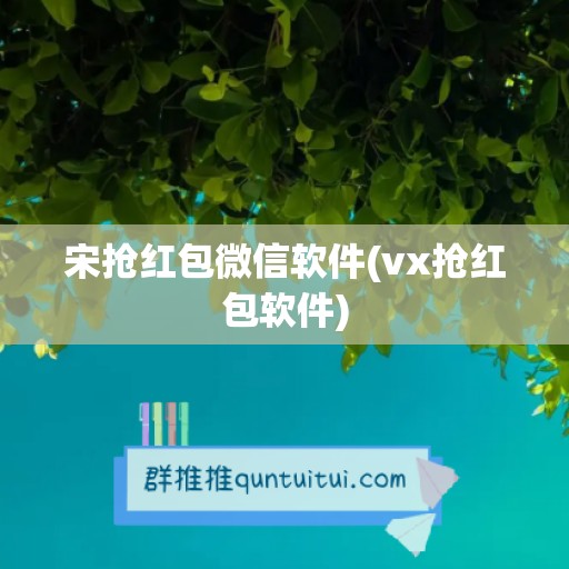 宋抢红包微信软件(vx抢红包软件)