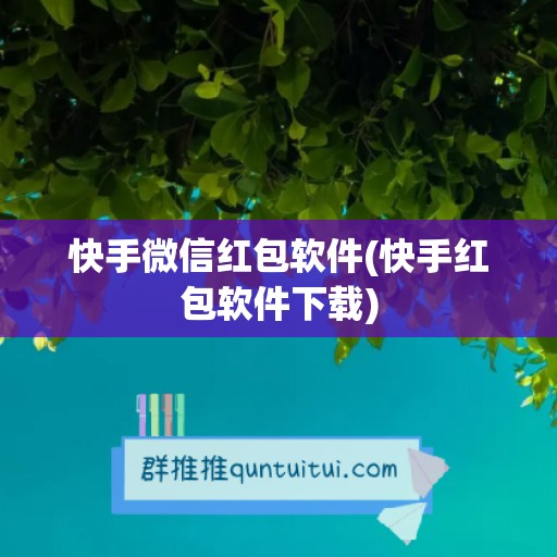 快手微信红包软件(快手红包软件下载)