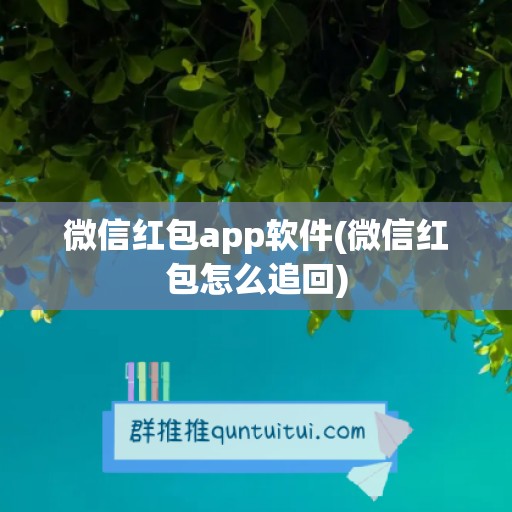 微信红包app软件(微信红包怎么追回)