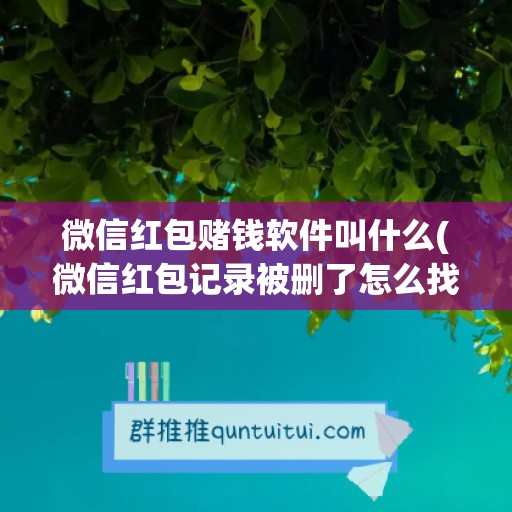 微信红包赌钱软件叫什么(微信红包记录被删了怎么找回来)