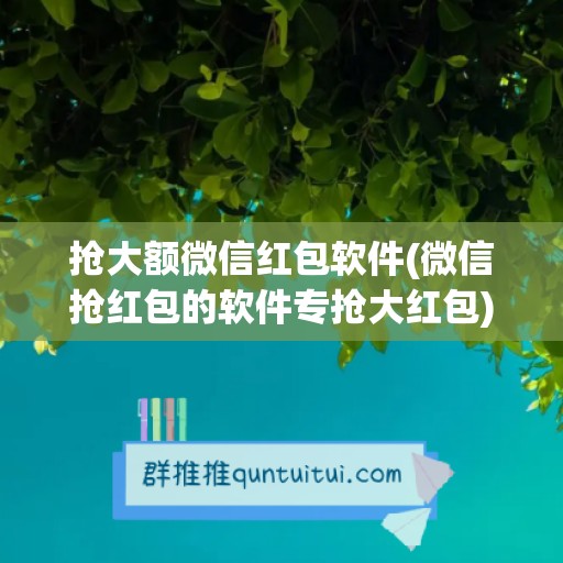 抢大额微信红包软件(微信抢红包的软件专抢大红包)