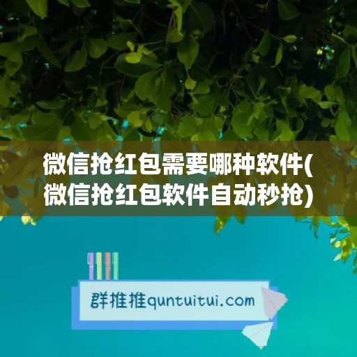 微信抢红包需要哪种软件(微信抢红包软件自动秒抢)