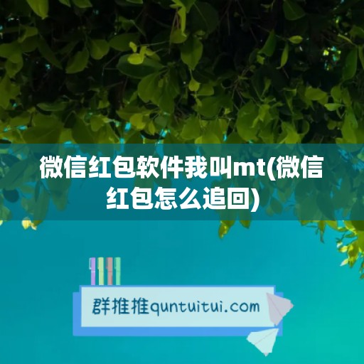 微信红包软件我叫mt(微信红包怎么追回)