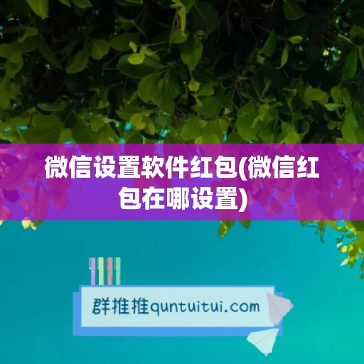 微信设置软件红包(微信红包在哪设置)