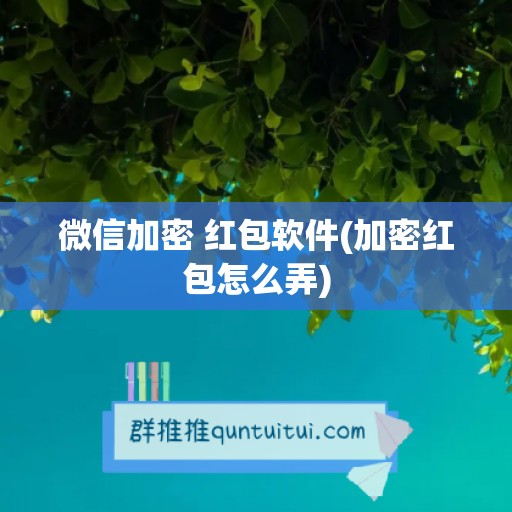 微信加密 红包软件(加密红包怎么弄)