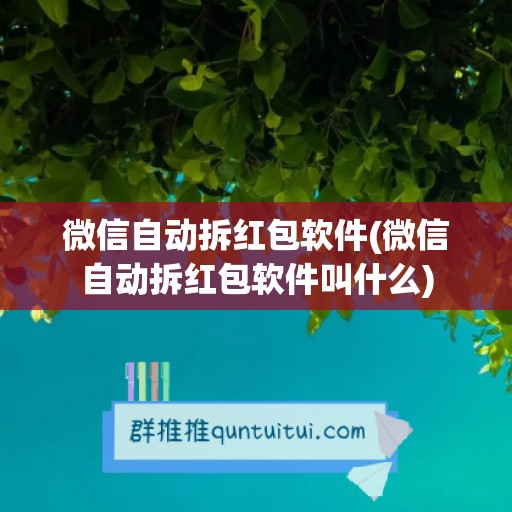 微信自动拆红包软件(微信自动拆红包软件叫什么)