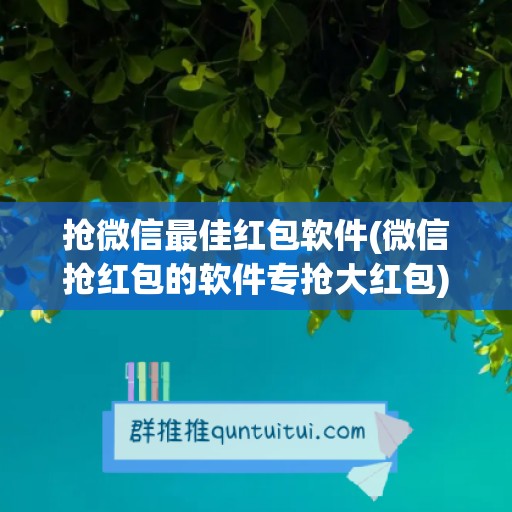 抢微信最佳红包软件(微信抢红包的软件专抢大红包)