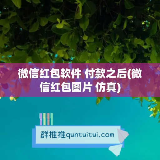 微信红包软件 付款之后(微信红包图片 仿真)