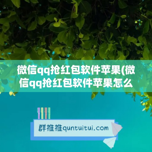 微信qq抢红包软件苹果(微信qq抢红包软件苹果怎么下载)