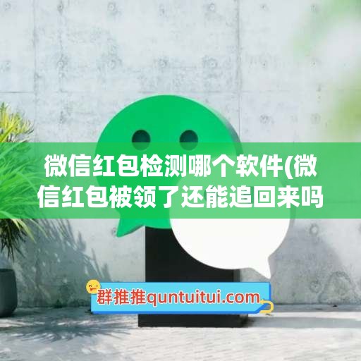 微信红包检测哪个软件(微信红包被领了还能追回来吗)