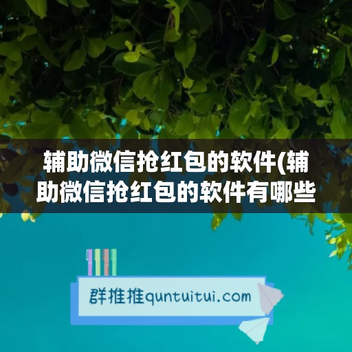 辅助微信抢红包的软件(辅助微信抢红包的软件有哪些)