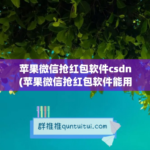 苹果微信抢红包软件csdn(苹果微信抢红包软件能用吗)