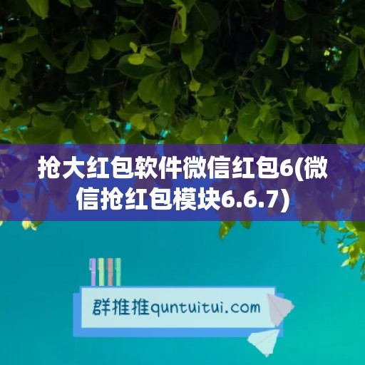 抢大红包软件微信红包6(微信抢红包模块6.6.7)