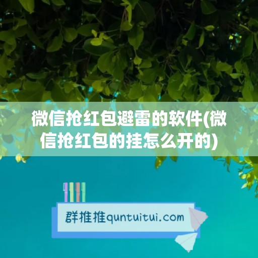 微信抢红包避雷的软件(微信抢红包的挂怎么开的)