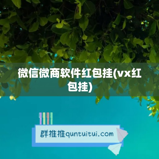 微信微商软件红包挂(vx红包挂)