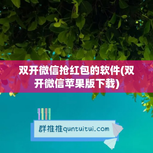 双开微信抢红包的软件(双开微信苹果版下载)