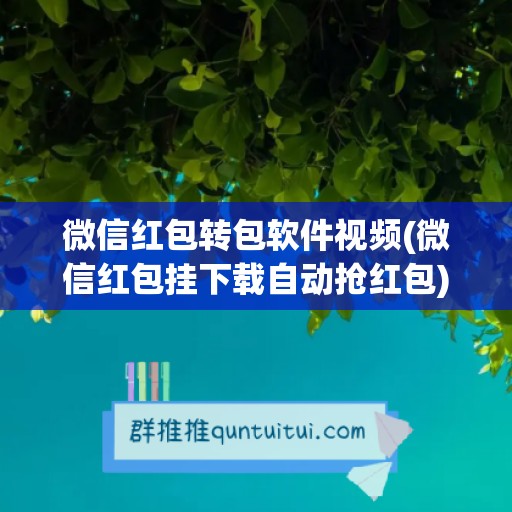 微信红包转包软件视频(微信红包挂下载自动抢红包)