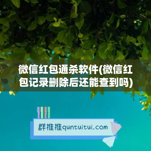 微信红包通杀软件(微信红包记录删除后还能查到吗)