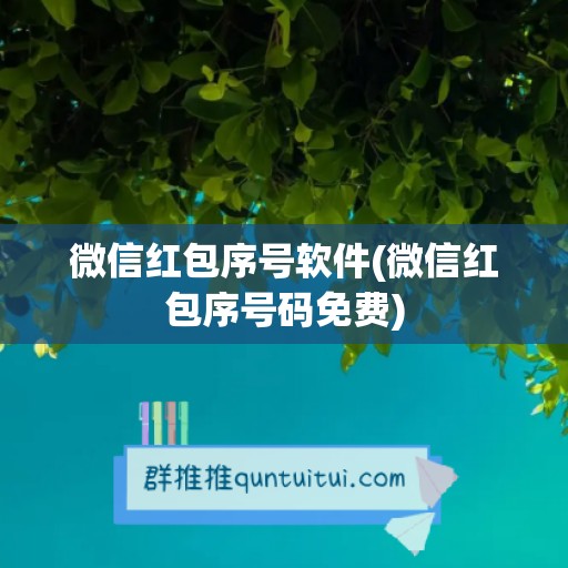 微信红包序号软件(微信红包序号码免费)