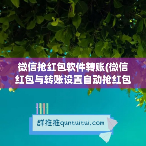 微信抢红包软件转账(微信红包与转账设置自动抢红包)