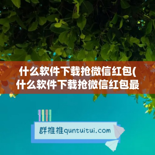 什么软件下载抢微信红包(什么软件下载抢微信红包最好)