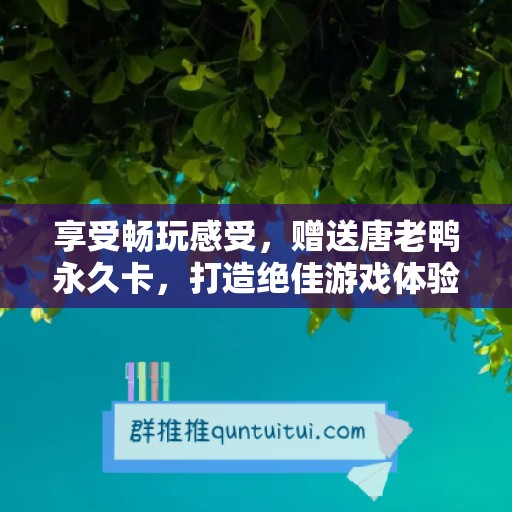 享受畅玩感受，赠送唐老鸭永久卡，打造绝佳游戏体验