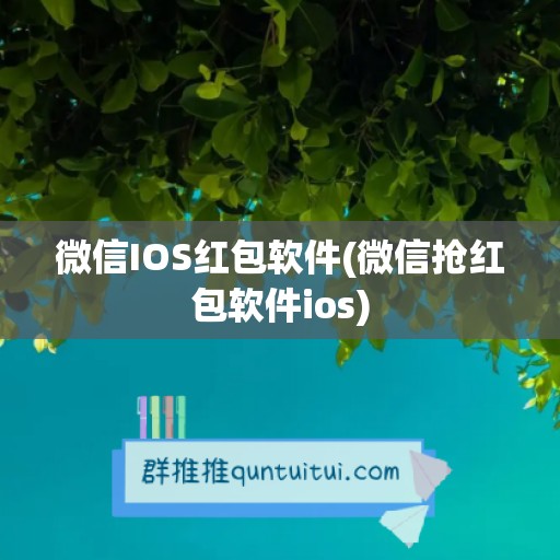 微信IOS红包软件(微信抢红包软件ios)